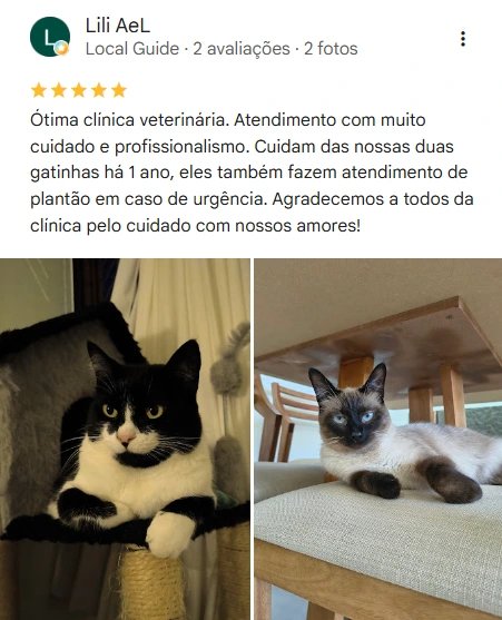 Avaliação 5 estrelas