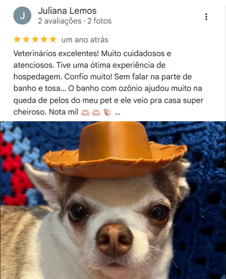 Avaliação 5 estrelas