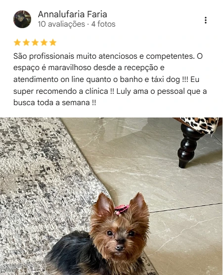 Avaliação 5 estrelas